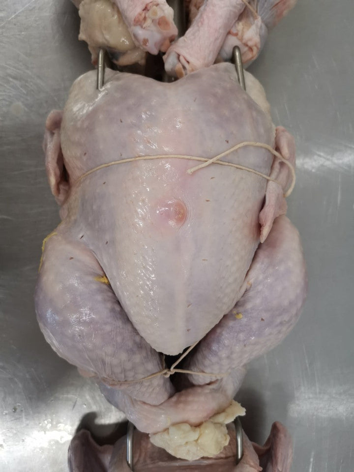 Holiday Catering Made Easy: Roast & Serve Hundreds with the PigOut Roaster